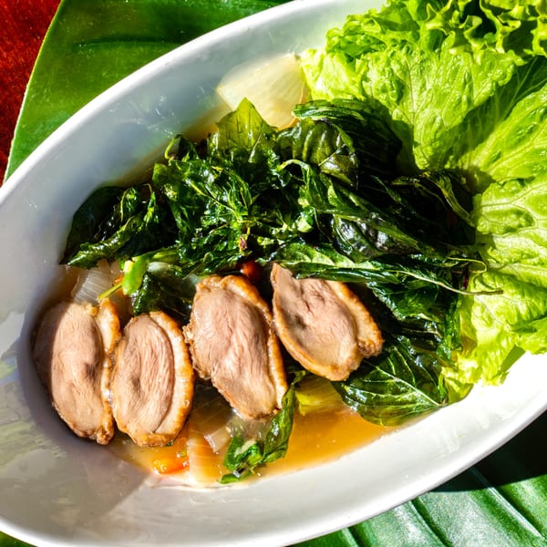 Sliced duck in a savory sauce with fresh basil, onions, and lettuce in a white dish.