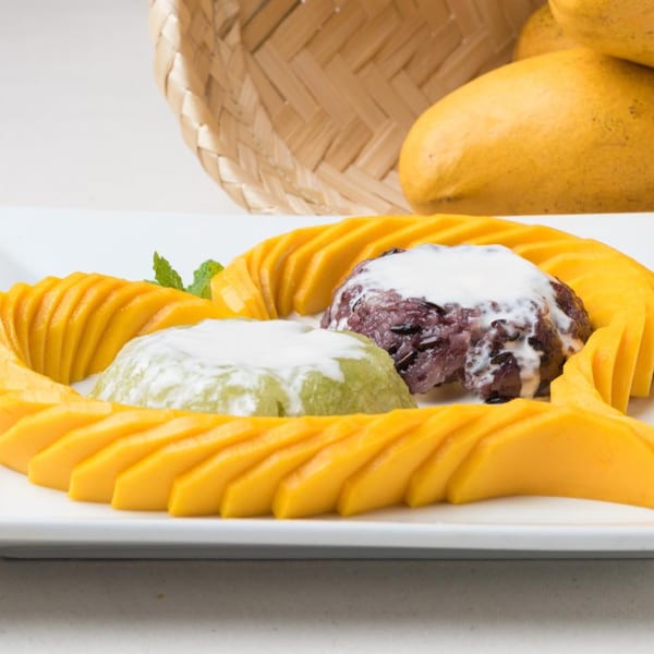 Thailicious mango sticky rice dessert with green and purple rice, coconut milk, and fresh mango slices.